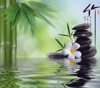 水中倒影大石头背景