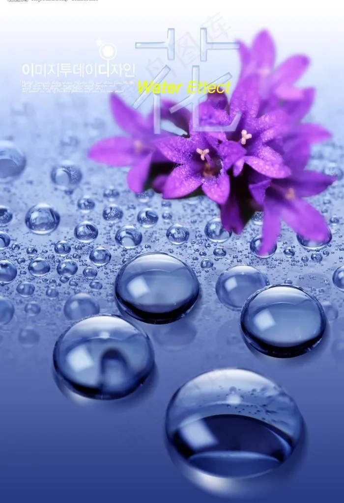 晶莹水滴图片(2600X4000(DPI:300))psd模版下载