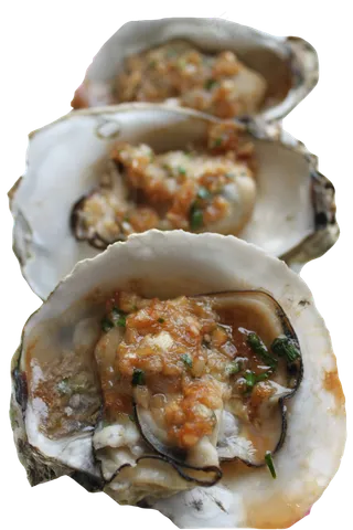 煮熟的生蚝美食海报png素材