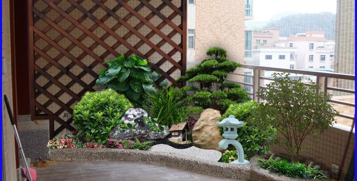 天台花园图片