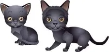 猫61向量ai矢量模版下载