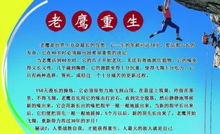 老鹰重生 励志篇图片