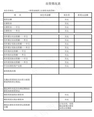 出资情况表