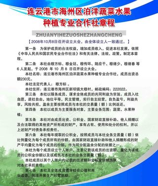 蔬菜水果种植专业合作社章程图片