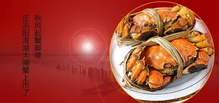 阳澄湖大闸蟹图片