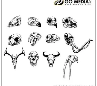 GoMedia出品矢量素材动物的头...