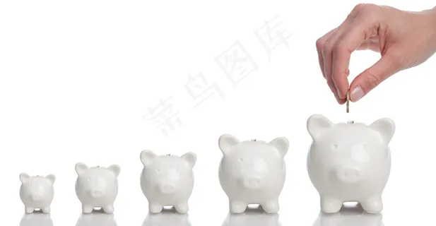 手拿储钱罐金币货币 理财保障商务金融财富增长主题 手拿储钱罐金币货币 理财保障商务金融财富增长主题