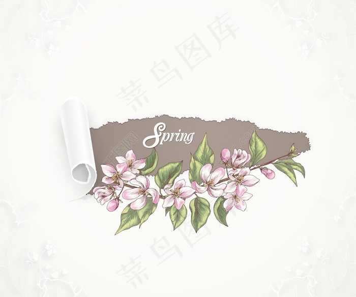 花卉背景矢量图和春天的花朵和撕纸eps,ai矢量模版下载