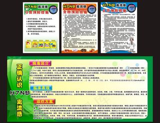 H7N9禽流感宣传海报素材
