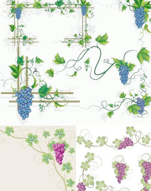 葡萄藤花纹花边矢量素材