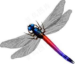 免抠png图片ps素材蜻蜓