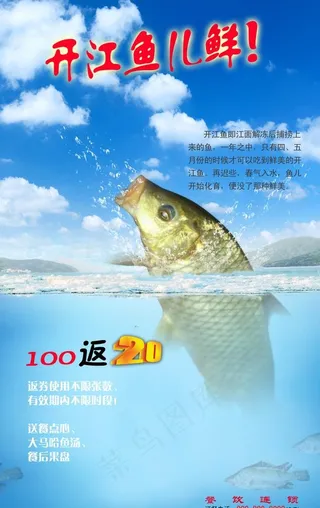 开江鱼x展架图片