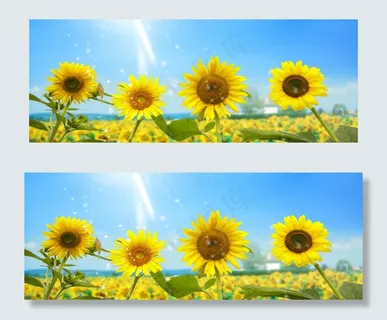 学校背景  学校背景