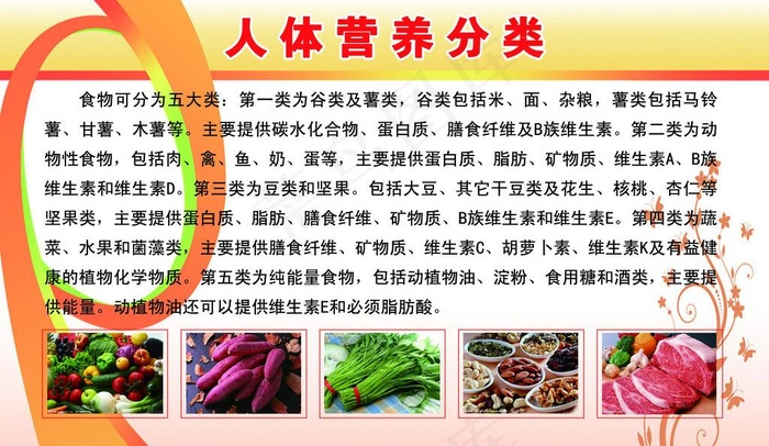人体营养展板图片psd模版下载