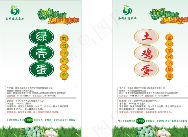 绿鸡蛋 土鸡蛋卡 宣传单图片cdr矢量模版下载