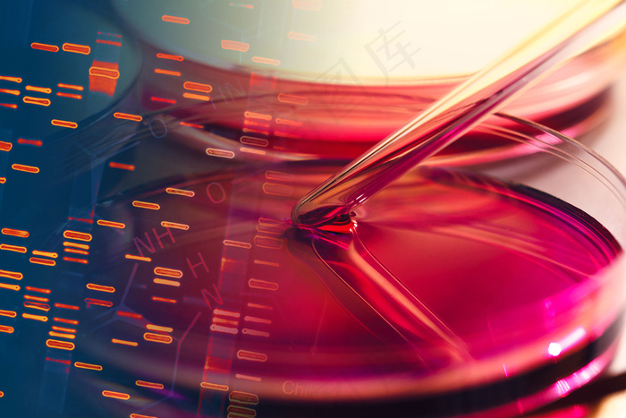 生物科学研究