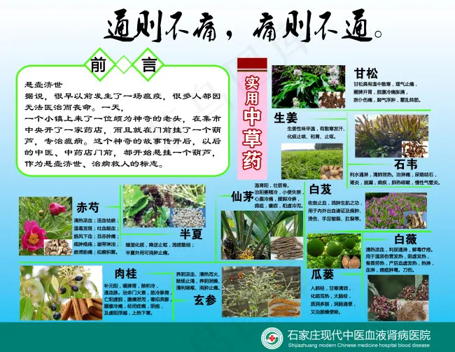 中药材展板(4025X3118(DPI:72))psd模版下载