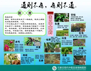 中药材展板
