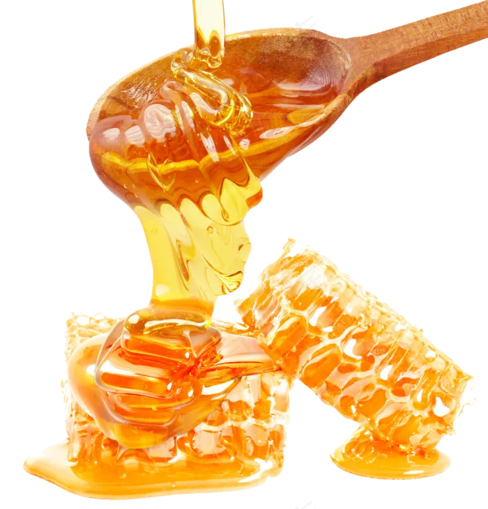 免抠png蜂蜜蜜块(2791X2913)