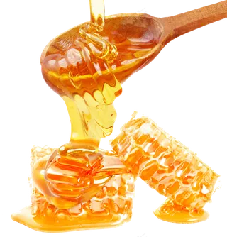 免抠png蜂蜜蜜块