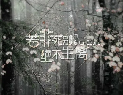 若非死别 永不生离Q空间flash