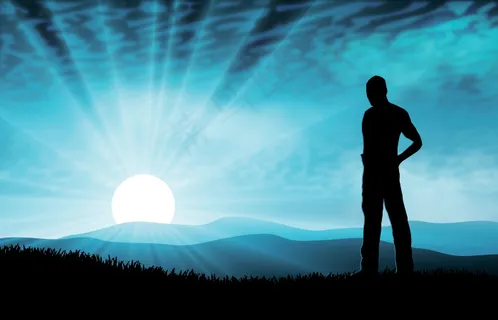 美丽的夕阳的剪影矢量和特征