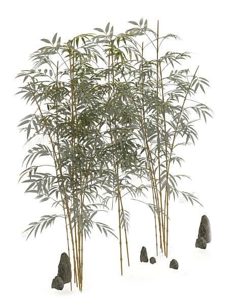 植物模型素材