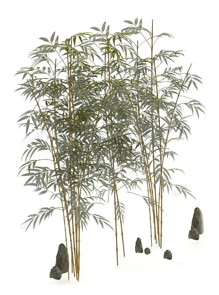 植物模型素材