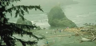 风浪过后的海滩图片