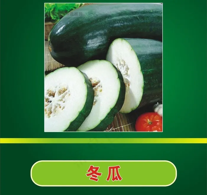 冬瓜图片cdr矢量模版下载