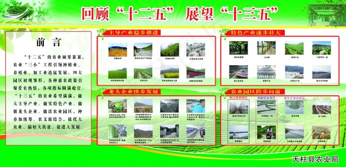 农业局展板
