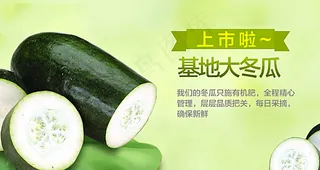 蔬菜海报图片