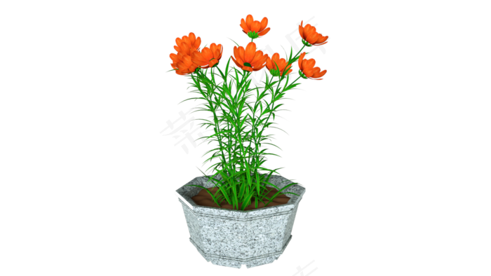 C4D通用室内盆栽模型