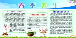 春季养生展板