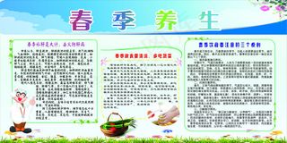 春季养生展板