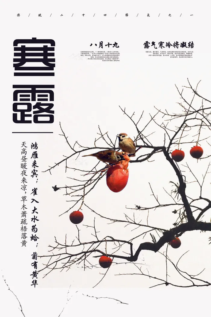 2017简约中国节气寒露海报(3543X5315(DPI:150))psd模版下载