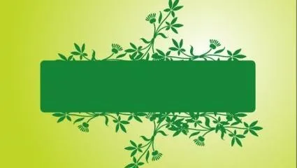 花框eps,ai矢量模版下载