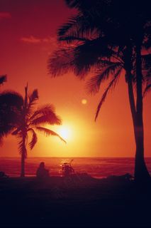 吉普赛风情图片