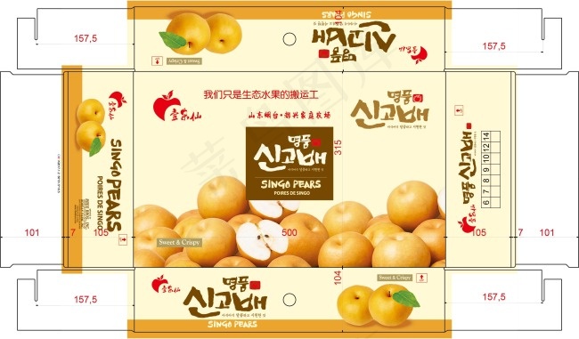 韩国梨包装ai矢量模版下载
