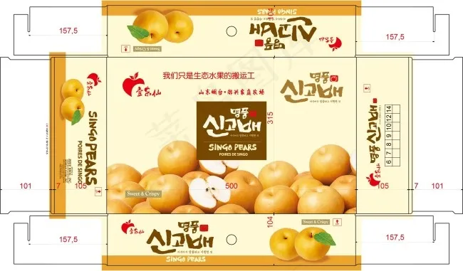 韩国梨包装ai矢量模版下载