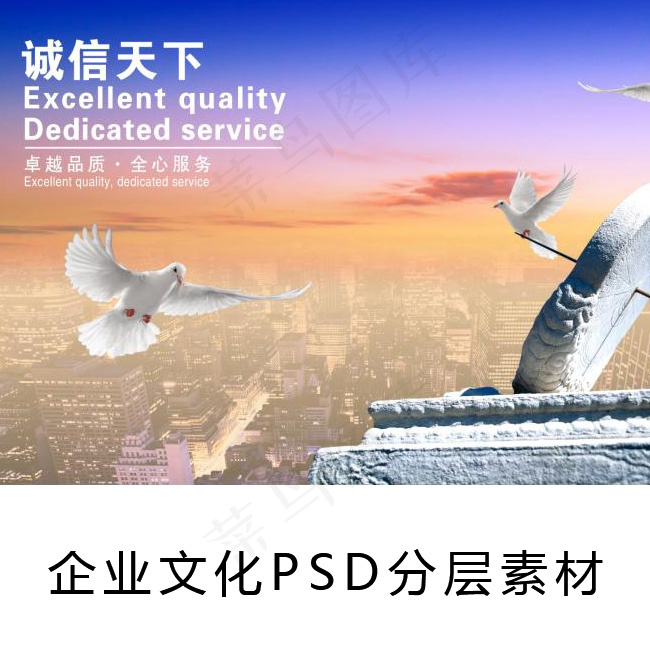 诚信天下白鸽