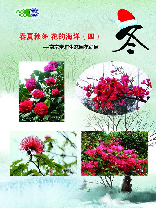 冬天花卉(2551X3402(DPI:72))psd模版下载