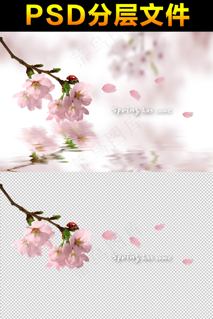 桃花背景素材分层免扣大图