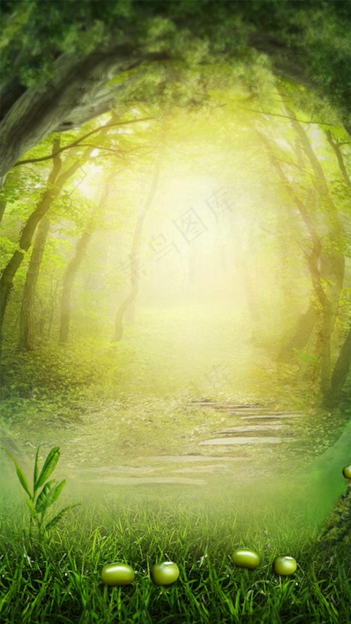 迷雾中的绿色森林绿色背景素材