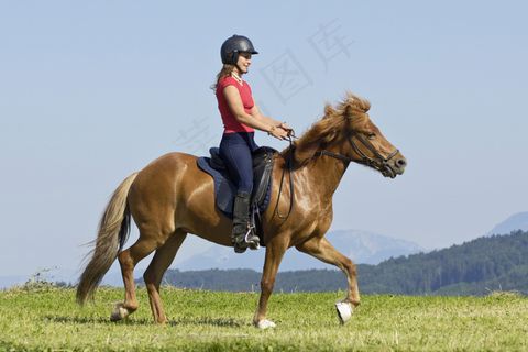 草地上骑马的女孩图片