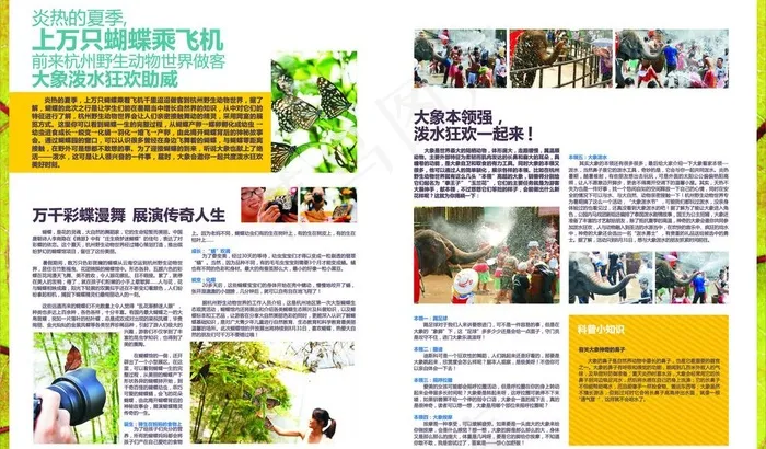 野生动物宣传杂志图片cdr矢量模版下载