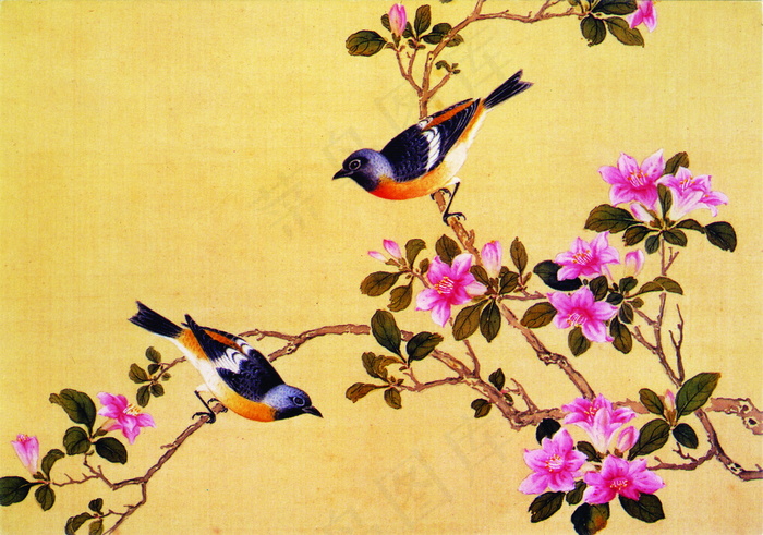 小鸟枝头