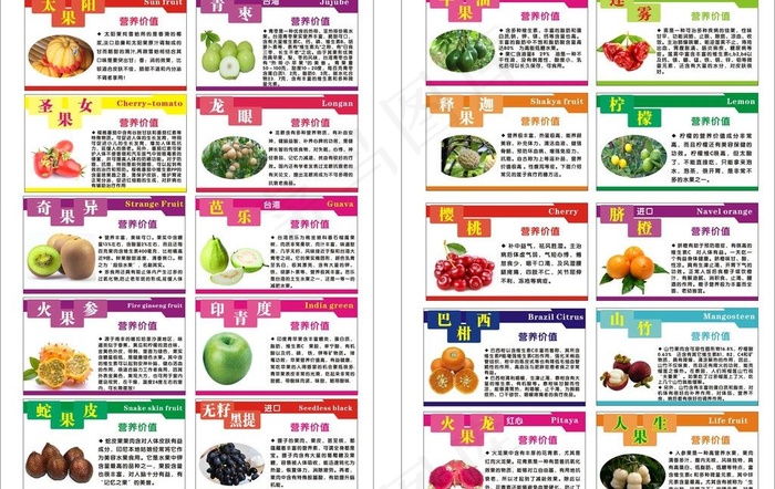 水果营养价值图片cdr矢量模版下载