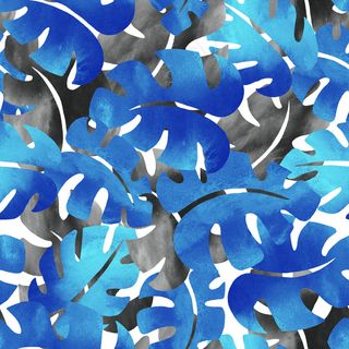 水彩热带雨林大嘴鸟树叶花朵植物