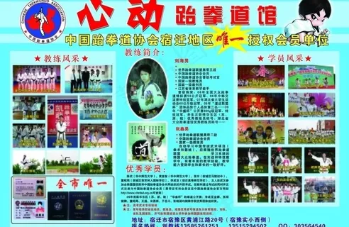 跆拳道招生海报图片
